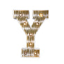 Mini Marquee Letter Light Gold & White Y