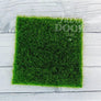 Fairy Tiny Grass